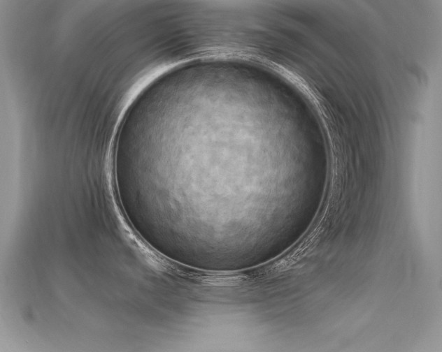 X0000115661440200911121205