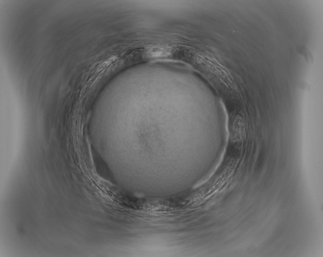 X0000115661441200911121204