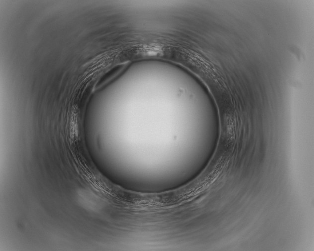 X0000115661442200911121204