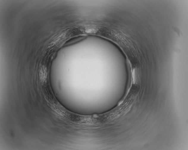X0000115661443200911121204