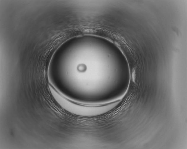 X0000115661444200911121204
