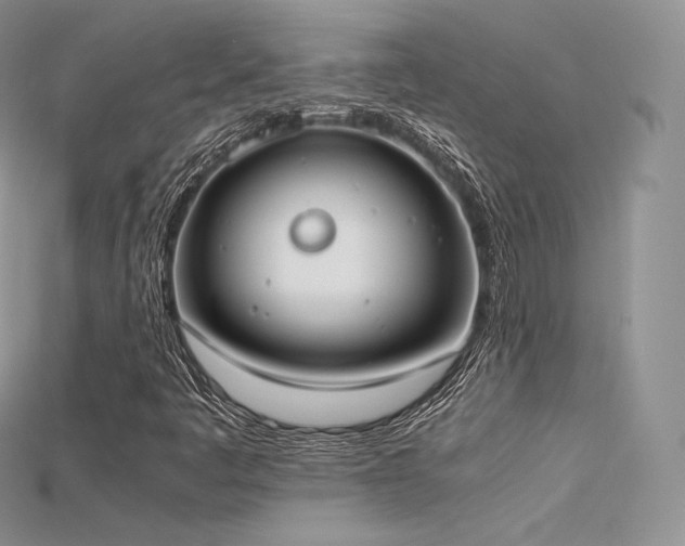 X0000115661445200911121204