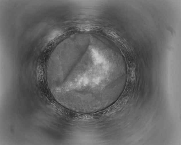 X0000115661446200911121204
