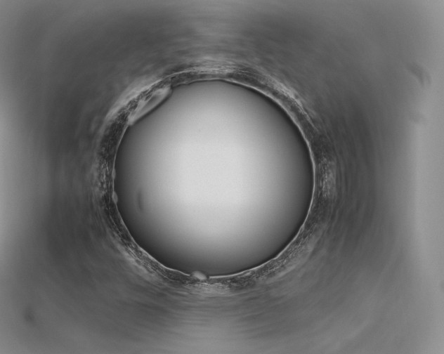 X0000115661448200911121204