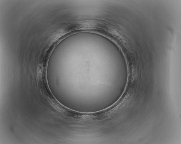 X0000115661449200911121204