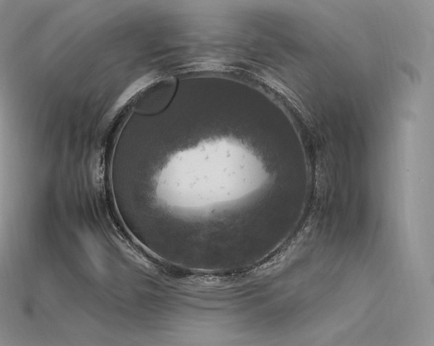 X0000115661450200911121204