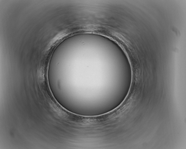 X0000115661451200911121204