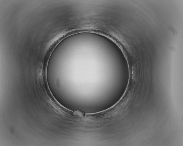 X0000115661452200911121204