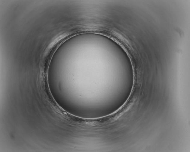 X0000115661453200911121204