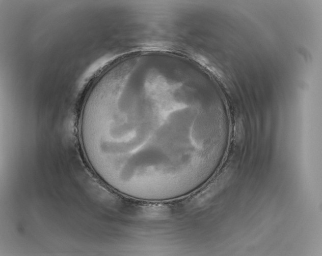 X0000115661454200911121204