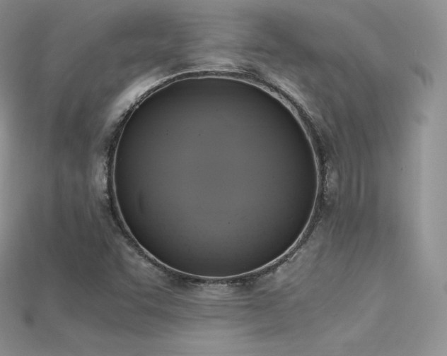X0000115661455200911121204
