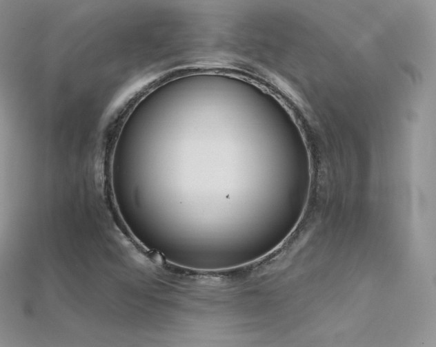 X0000115661456200911121204