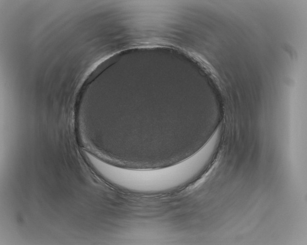 X0000115661457200911121204