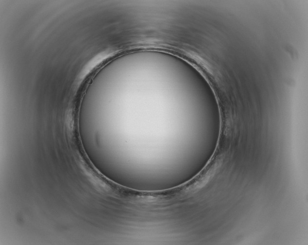 X0000115661458200911121204