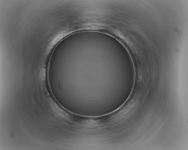 X0000115661459200911121204