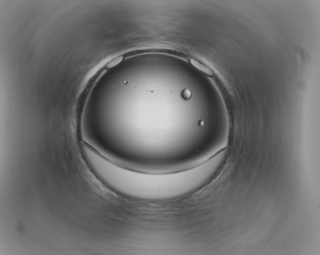 X0000115661460200911121204