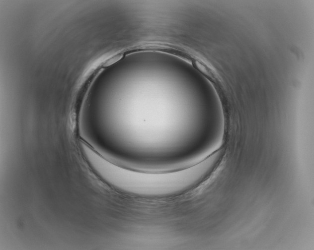 X0000115661461200911121204