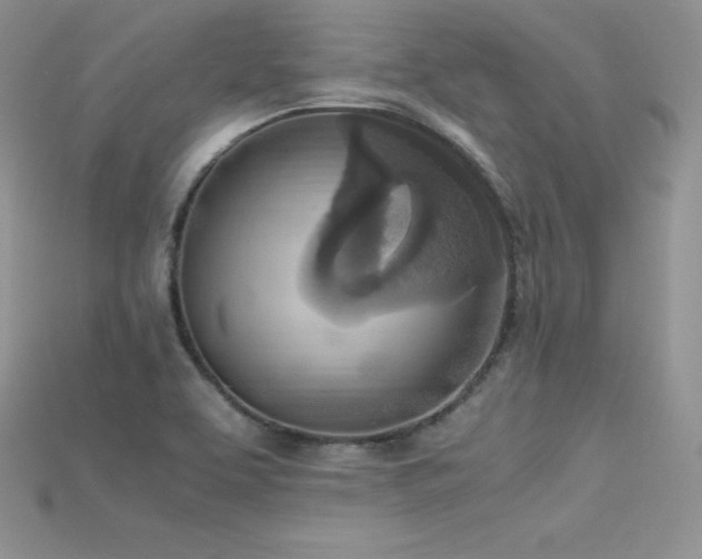 X0000115661463200911121204
