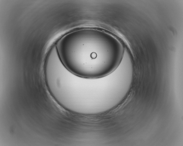 X0000115661464200911121204