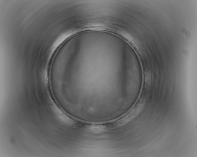 X0000115661466200911121203