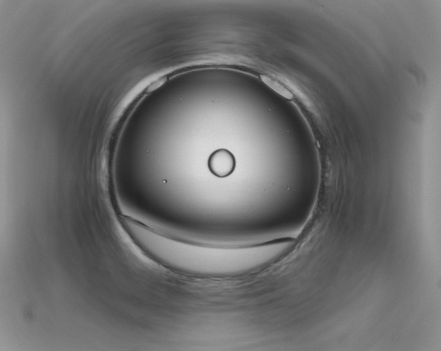 X0000115661468200911121203