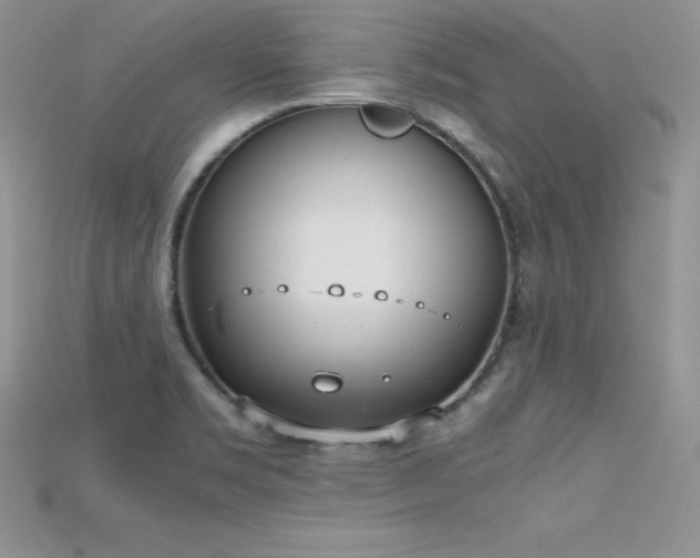 X0000115661469200911121203