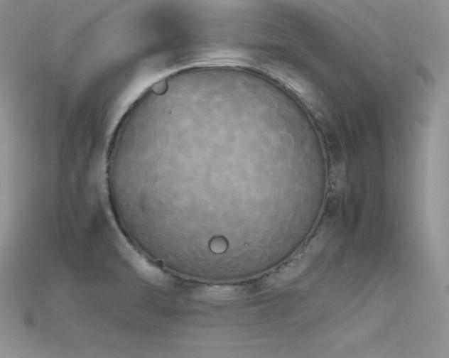 X0000115661470200911121203