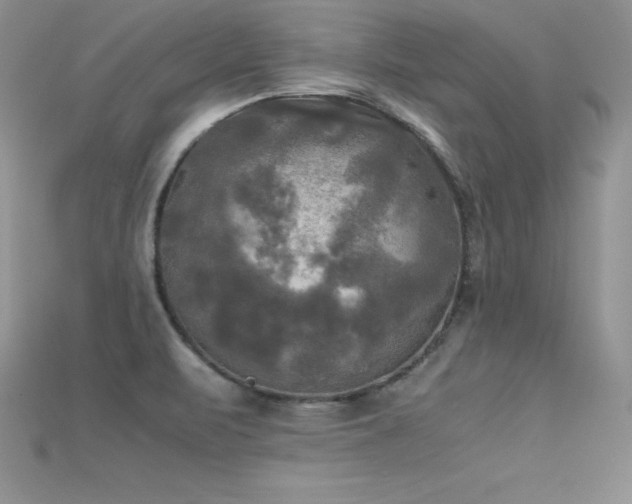X0000115661471200911121203