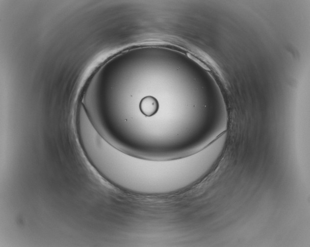 X0000115661472200911121203