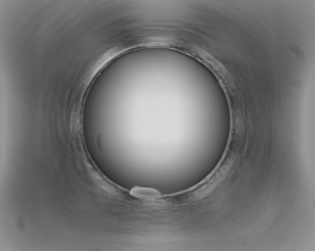 X0000115661473200911121203