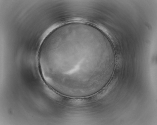 X0000115661474200911121203