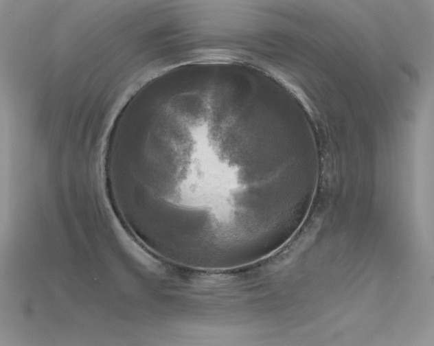 X0000115661475200911121203