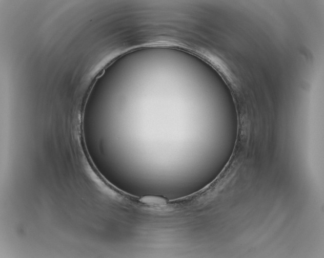 X0000115661476200911121203