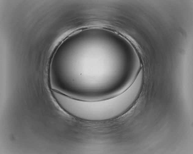 X0000115661477200911121203