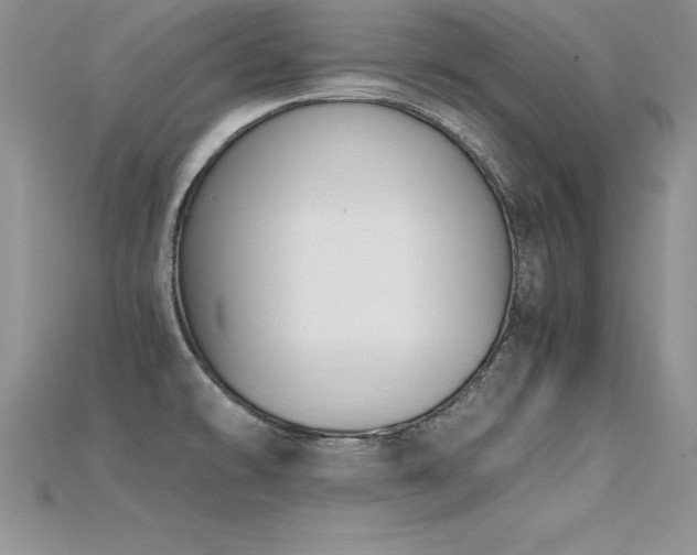 X0000115661478200911121203