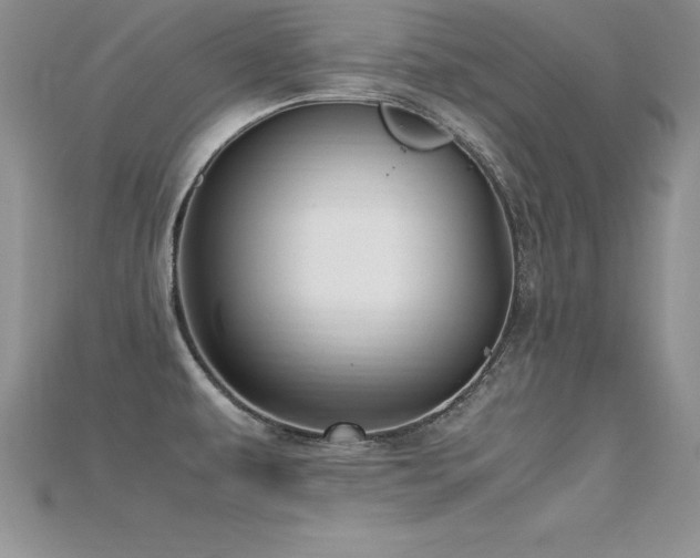 X0000115661479200911121203