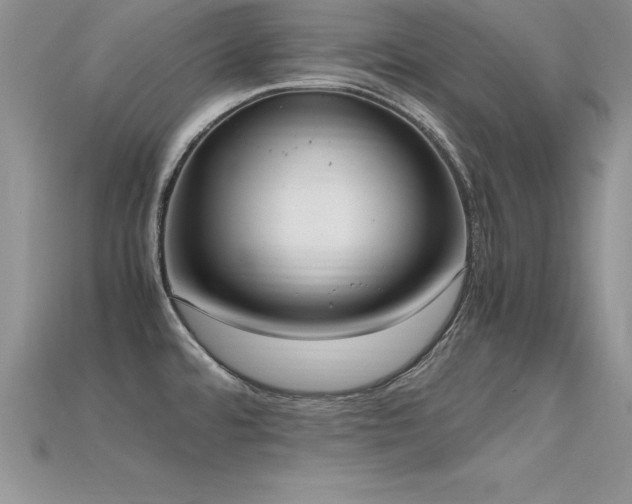 X0000115661480200911121203