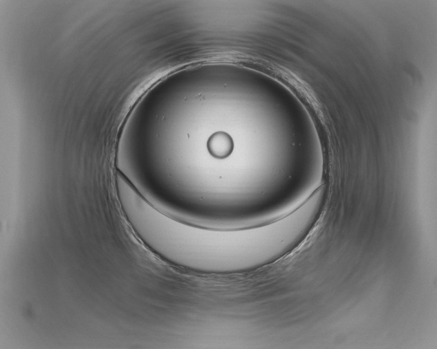 X0000115661481200911121203