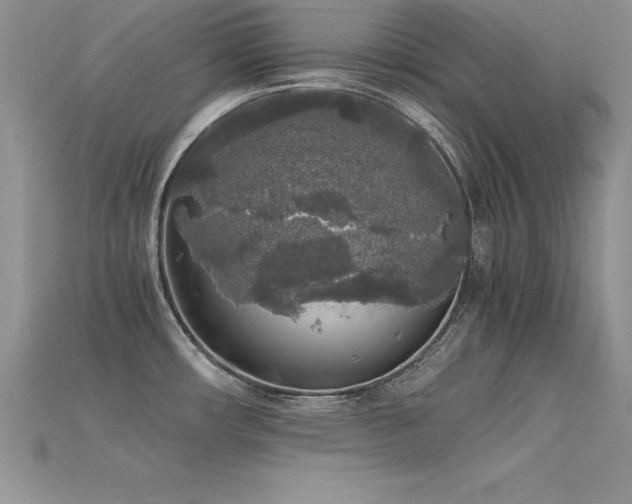 X0000115661482200911121203