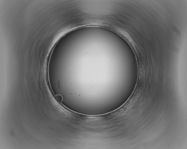 X0000115661483200911121203