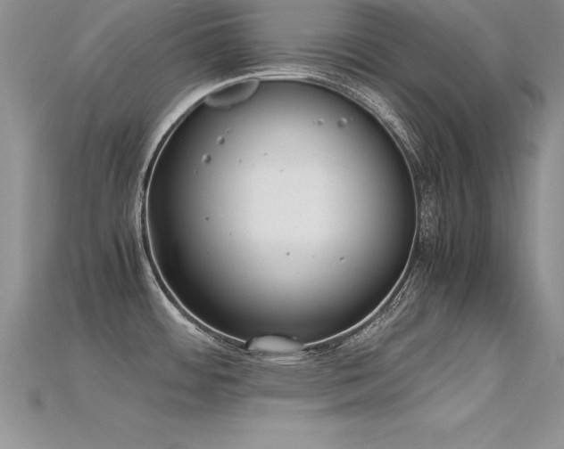 X0000115661484200911121203