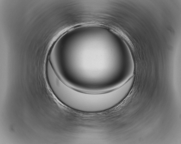 X0000115661485200911121203