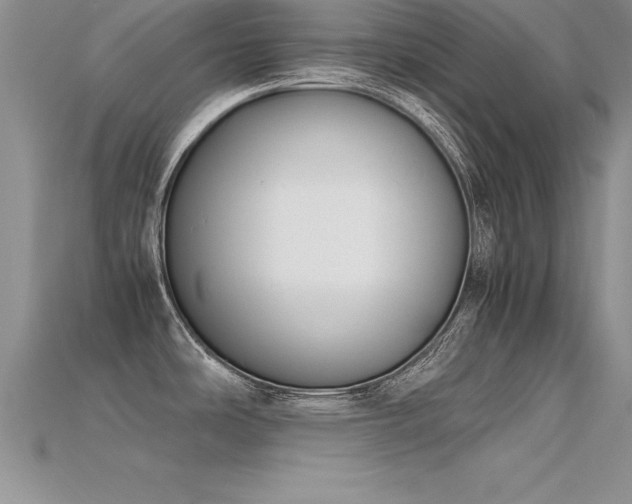 X0000115661486200911121203