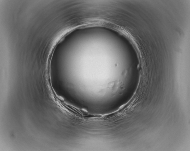 X0000115661488200911121203