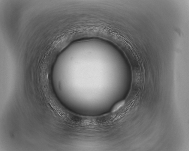 X0000115661489200911121203