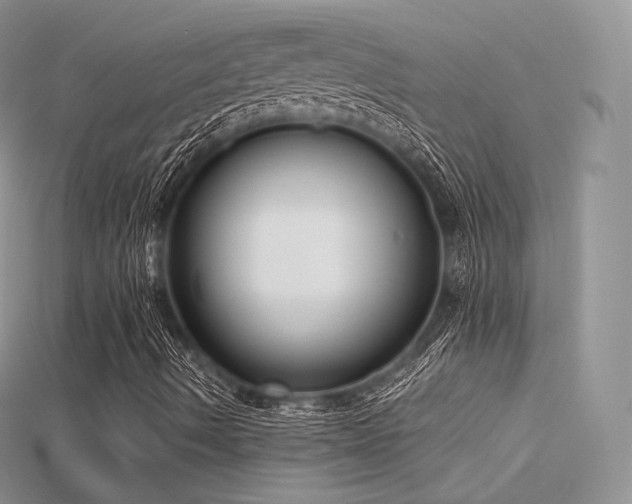 X0000115661490200911121203