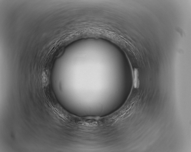 X0000115661491200911121203