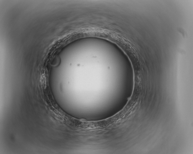X0000115661493200911121203