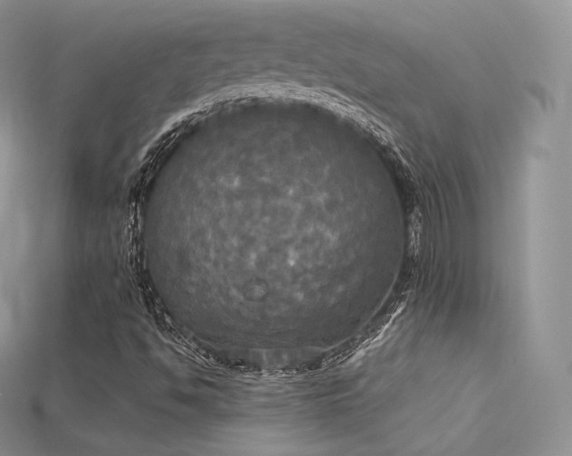 X0000115661494200911121203