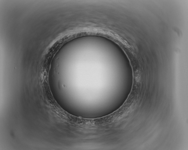 X0000115661495200911121203